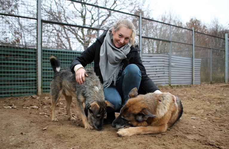 Helfer und Hunde im Einhorn e. V.