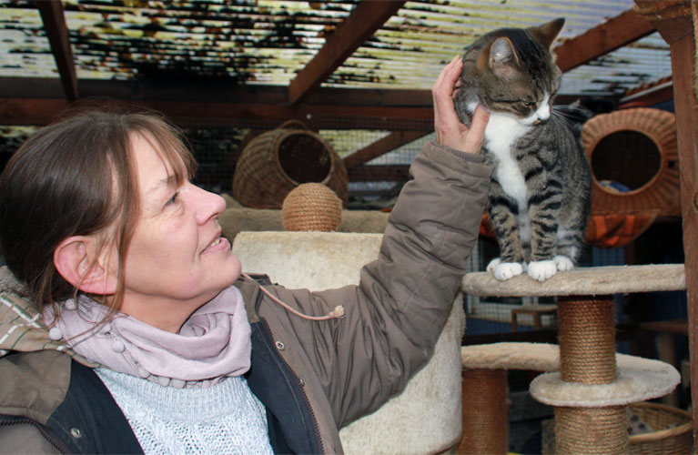 Helfer und Hunde im Einhorn e. V.